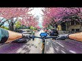 Spring ride therapy  kukirin g3 pro  timioara