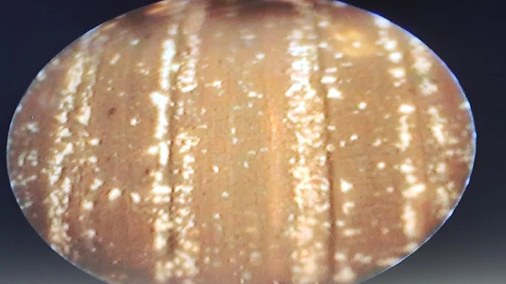 Hawkeye Borescope and USPC Bore Paste! Part 2 (cleaning)