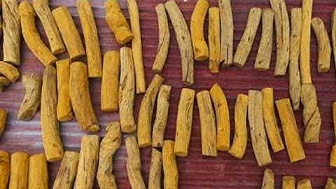 INILAH!! 29 Manfaat Akar Kuning Serta Efek Sampingnya