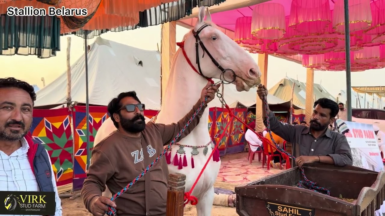 Hanumangarh Mele ਵਿੱਚ Billa Paras ਤੇ Belarus ਦੀ ਜੋੜੀ ਨੇ ਲੁੱਟਿਆ ਸਾਰਾ Mela 🎡 