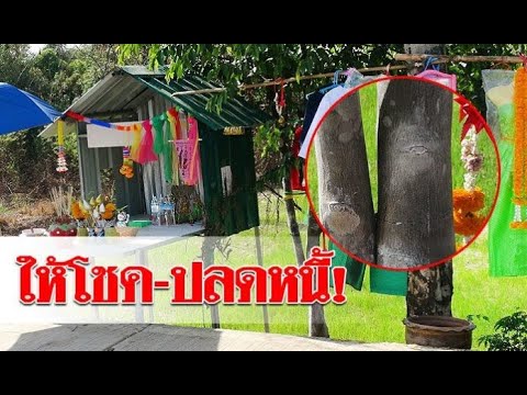 เจ้าแม่ ตะเคียนคู่ เฮี้ยน! เข้าฝันสาว ก่อนให้โชคยกหมู่บ้าน 3งวดติดจนปลดหนี้