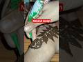 mahndi design art #vairalvideo #mahndi #shortvideo #artdrawing maurya ji crofting DIY