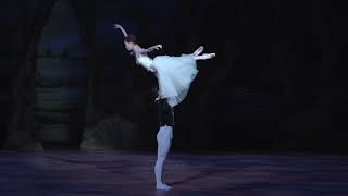 Experience Angel Corella's Giselle