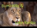 Zimbabwe - Bumi Hills Safari  Lodge