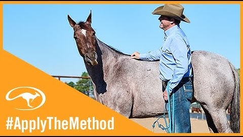 Clinton Anderson: A Tip for Haltering Your Horse