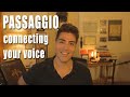 Bypass Your Passaggio with the Monsalve Leyton Method™ The Old School of Singing