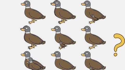 brain out 2 level 212