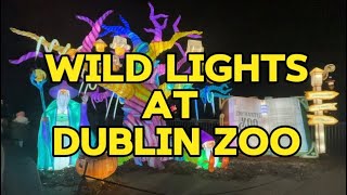 Wild Lights at Dublin Zoo