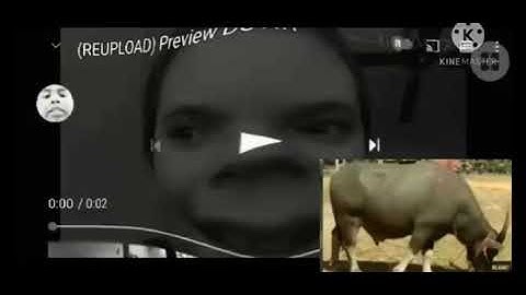 Preview Devin Effects 2