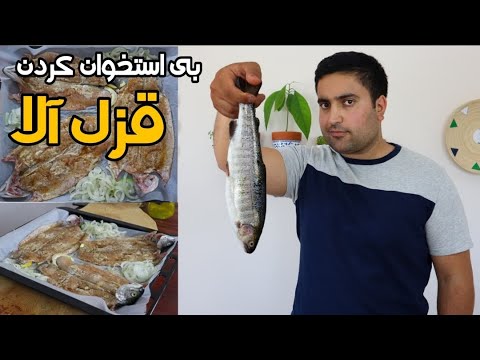 تصویری: آیا ماهی سفید را می توان منجمد کرد؟