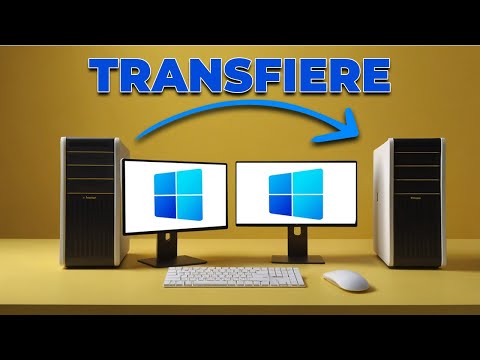 TRANSFIERE la Licencia