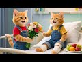 クリスマスなのに猫母さんが転んでしまった——生姜子猫は猫母さんを看病するためにこの行動をした|本当に感動的!