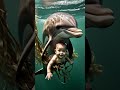 "Dolphin Saves a Baby from Drowning 🌊🐬 | Real Heroes Have Fins ❤️" #shorts #moonberrykids #subscribe