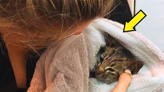 The woman cried and screamed when she discovered that her cat had become...