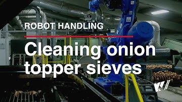 Efficient Quality Control at Wiskerke Onions Thanks to Automation | KV-Techniek