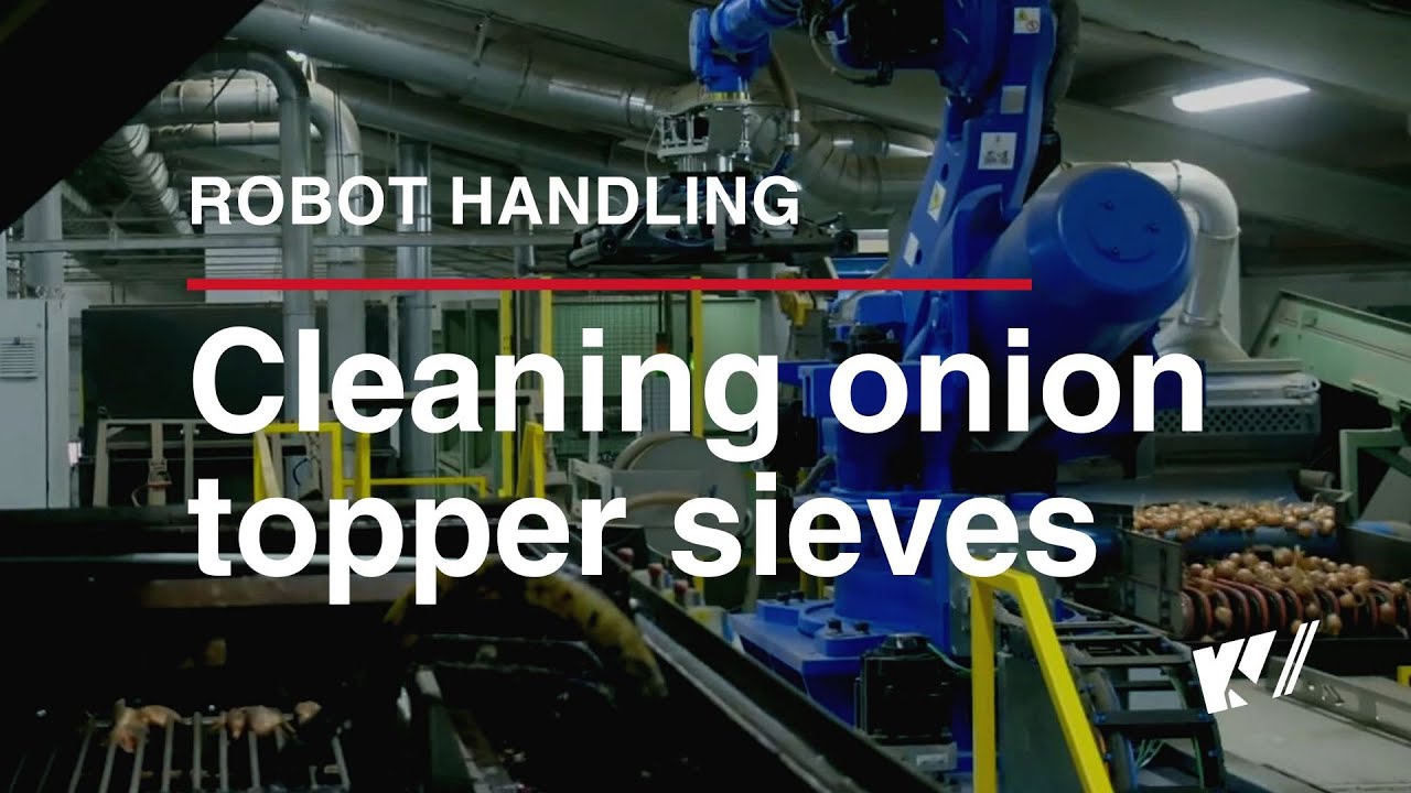 Efficient Quality Control at Wiskerke Onions Thanks to Automation | KV-Techniek