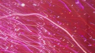 Deck The Hall With Bells Of Holly Edm Remixofficial Song