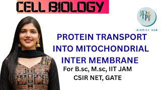 Protein transport into mitochondrial inter membrane space| Protein shorting and targeting