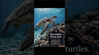 Scuba Diving in Zanzibar — Whale Sharks, Sea Turtles, Mnemba Atoll (Complete Guide + Where to Book)
