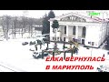 Мариуполь Ёлка вернулась из Одессы "с вакцинации" с сертификатом 🎄🙂