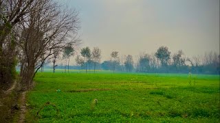 Capturing Bannu's Natural Splendor: A Visual Journey in 4K Cinematic Videos