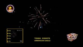 American Eagle -T Sky Fireworks - 500 Gram Fan