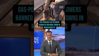 Gas-powered leaf blowers banned in two towns in Massachusetts