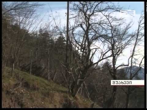 უბედური შემთხვევა შუახევში - ნადირობის დროს მამაკაცი გარდაიცვალა