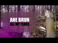 Ane Brun - All My Tears (Lyrics + Subtitulos)