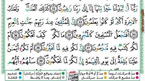 سورة القلم مكتوبة  بصوت الشيخ محمد سايد  برواية ورش عن نافع.