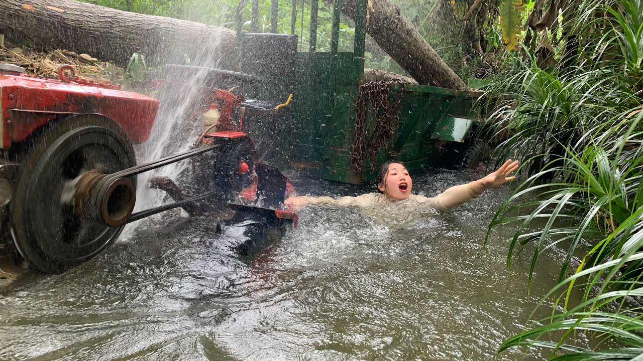 agricultural vehicles transporting timber and harvested trees along streams