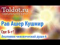 [6 часть] Где Б-г? Анатомия человеческой души. Рав Ашер Кушнир.