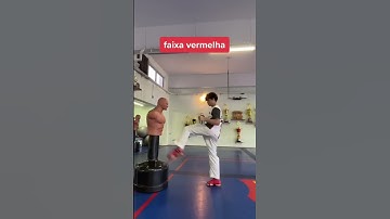qual faixa vc eh?  (vídeo ilustrativo) #karate