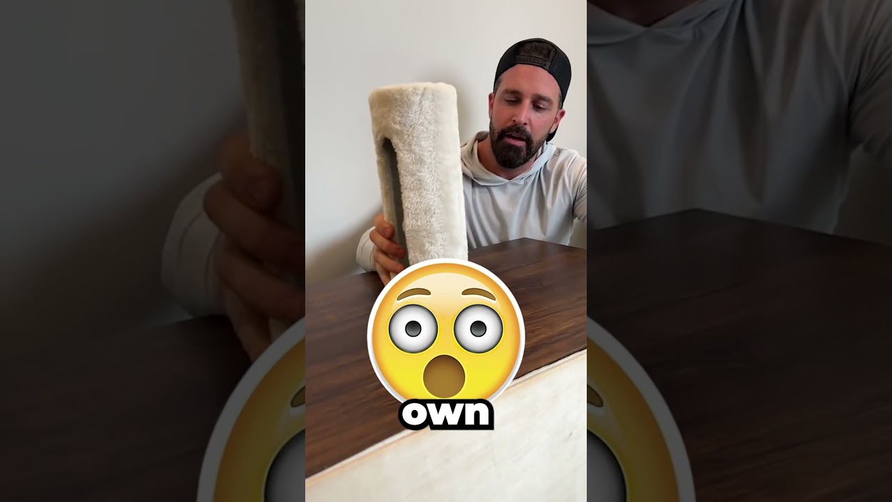 The Best Cat House EVER! 😱😻🐈