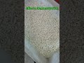 Plastic Crusher