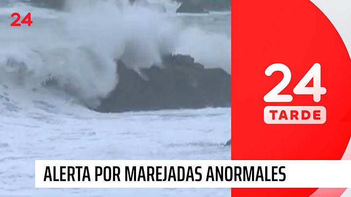Borde costero: marejadas y fuertes vientos en Viña del mar | 24 Horas TVN Chile