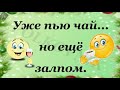 Новогоднее послевкусие...   Вставайте похмеляться, чудики!