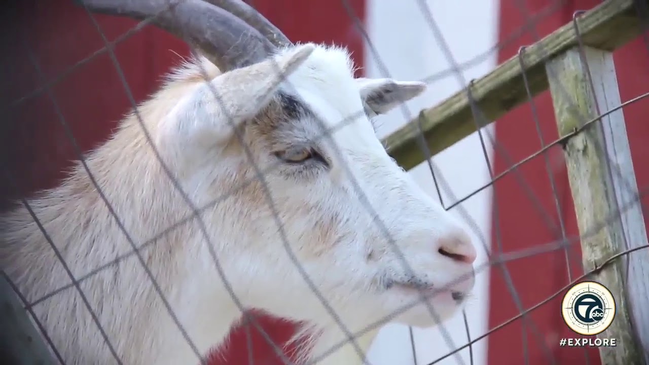 channel awesome Yates Cider Mill