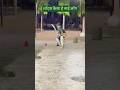 How to improve baiting skills #cricket #viral #trending #funny #sports
