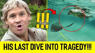 Steve Irwin – The Crocodile Hunter’s TRAGIC Final Moments in Australia’s Ocean