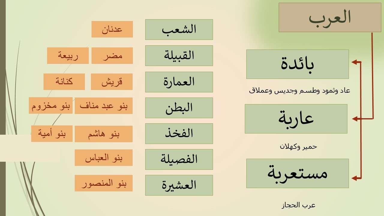 الفرق بين العرب العاربة والمستعربة والفرق بين القبيلة والعمارة والبطن والفخذ