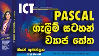 OL ICT Grade 11 Flow chart Psudocode  Pascal Programming basic tutorial lesson 01 Sinhala  පාඩම1 Guide