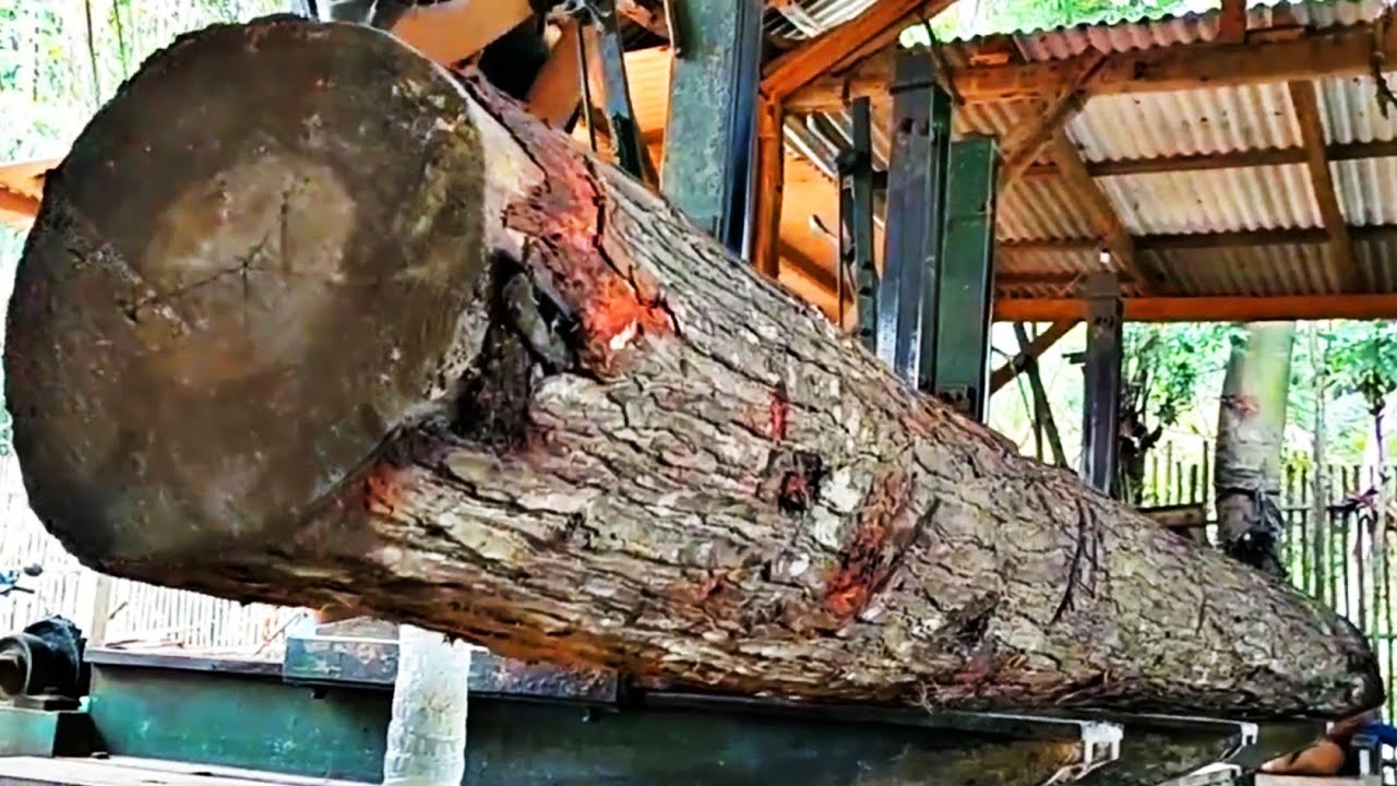 The process of sawing long mahogany logs into planks at a sawmill - YouTube