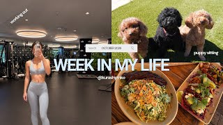 A WEEK IN MY LIFE | Gym, Dogs, and Family Time