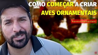 Descubra Como Ganhar Dinheiro Criando Aves Ornamentais. Veja Como Faturamos Mais De 300Mil Por Ano