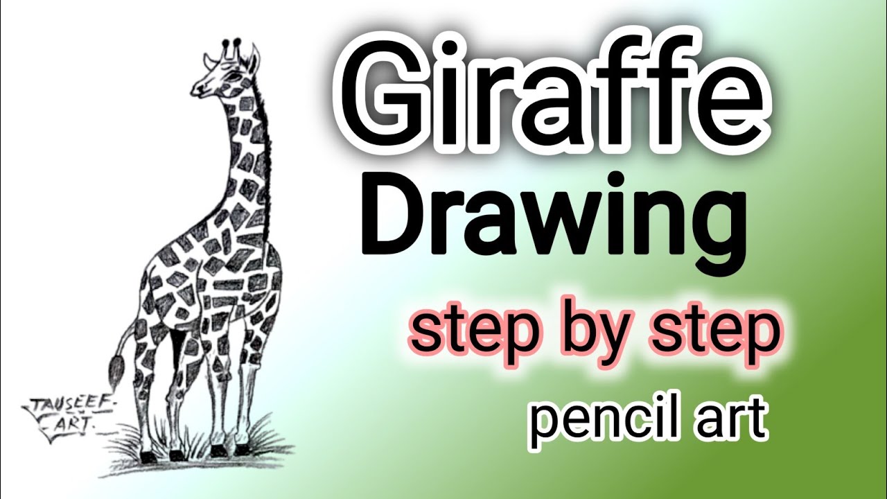 🦒  Giraffe Sketch Drawing | Easy Pencil Art | Giraffe Drawing Step by Step | Tauseef Art