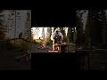Forest omelette with my owl sous chef. Tag your wildest  foodie friend 🍳🦉 #viral #funny