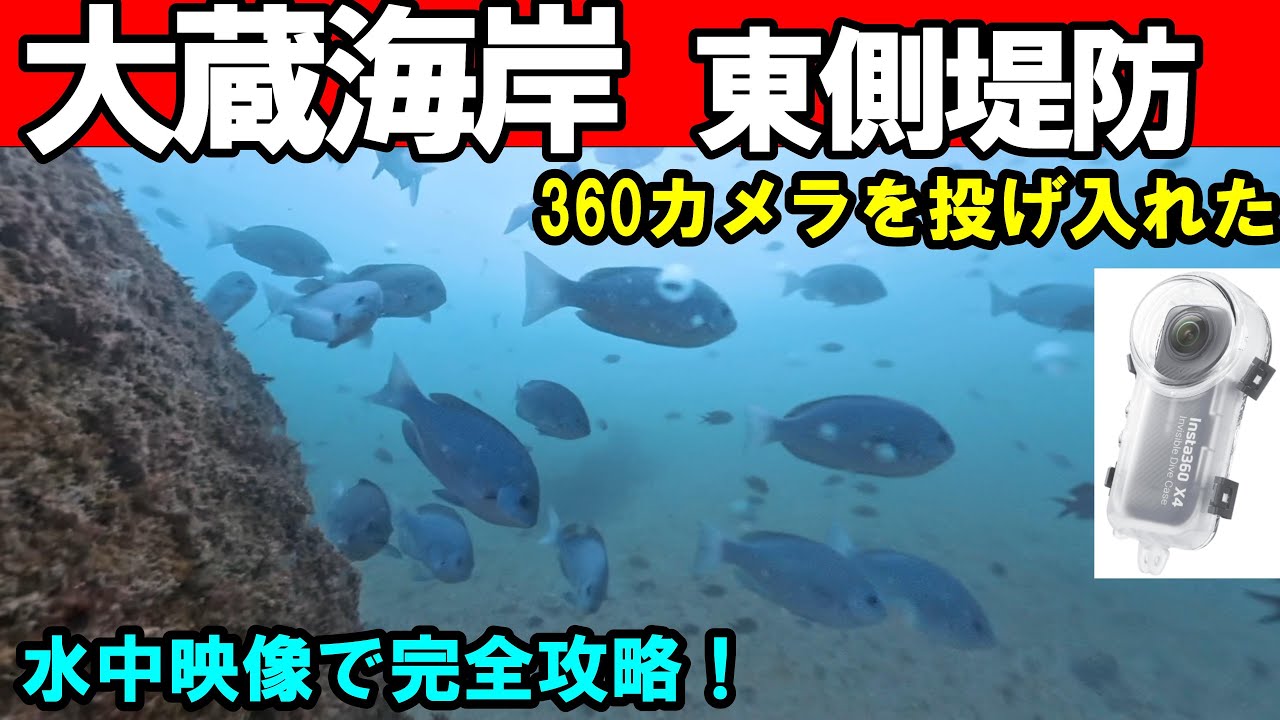 【衝撃の水中映像】大蔵海岸でグレを釣るならここ！360度カメラで見る爆釣ポイント