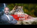 Не кричи - волки! "Как устроен мир" с Тимофеем Баженовым. (11.06.2021)