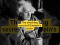 The Shocking Secret of Einstein’s Brain